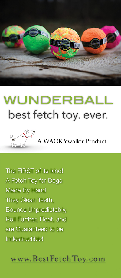 WUNDERBALL_brochure_features_pg_1
