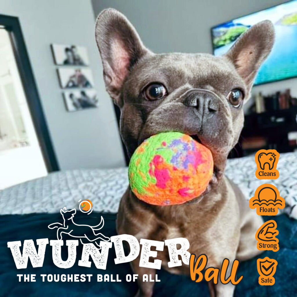 WUNDERball_Swirl_best_fetch_toy_ever copy