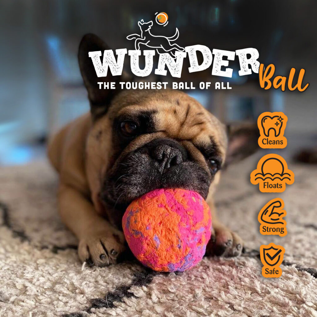 WUNDERball_Swirl_pup_icons_orange copy
